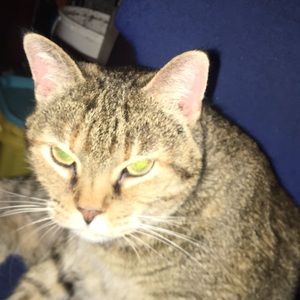 Meet your Posher, Robert